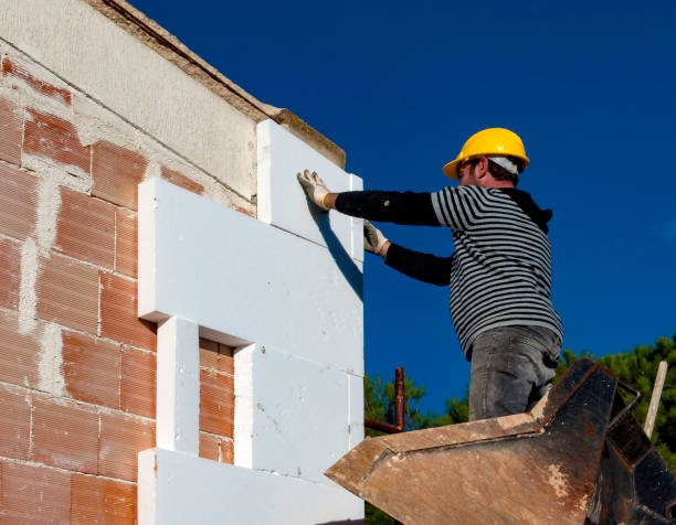 Best DIY Insulation Kits and Guidance in Mount Ida, AR