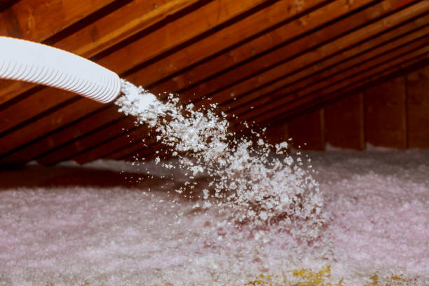 Best Commercial Insulation in Mount Ida, AR