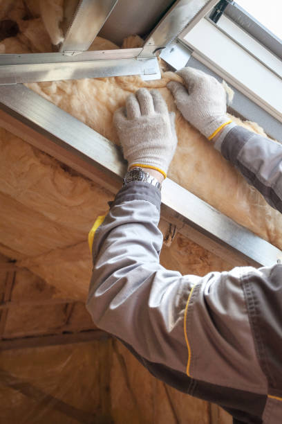 Best Residential Insulation in Mount Ida, AR