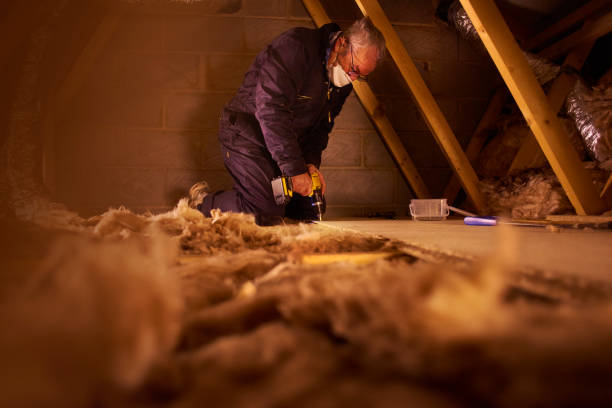 Best Spray Foam Insulation in Mount Ida, AR